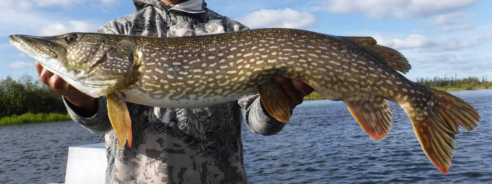 Cree River Lodge