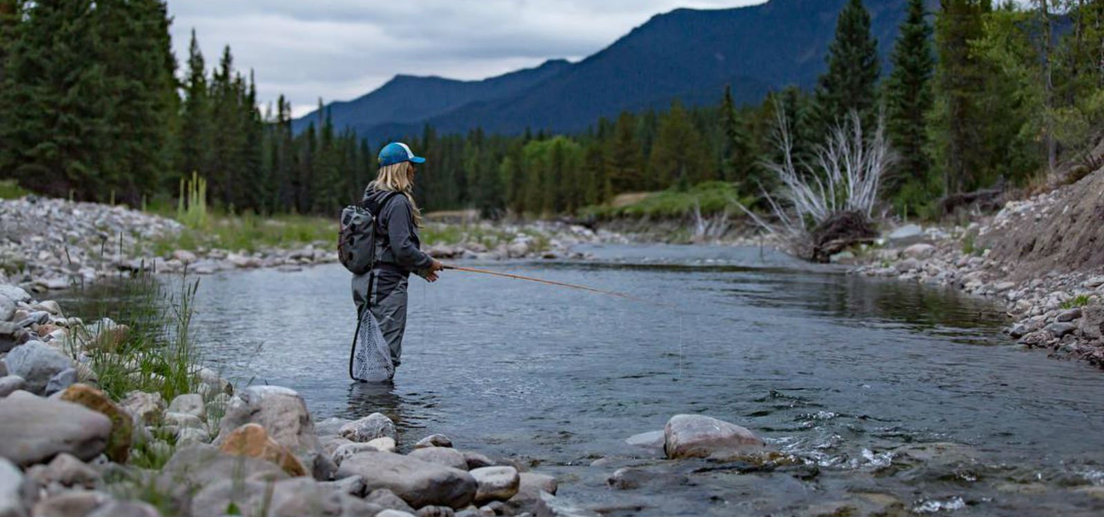 Fly Fishing for Brown Trout in Canada