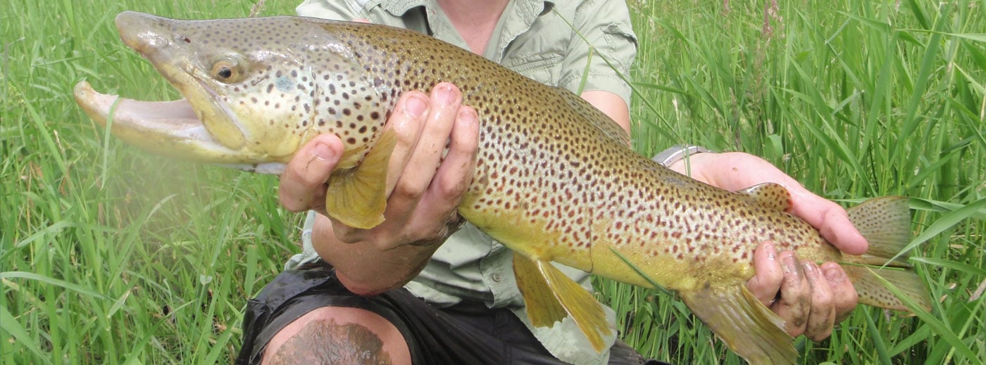 Hopper Stone Outfitters
