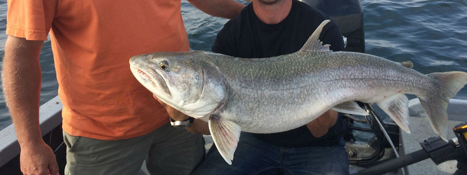Jug Bay Sport Fishing