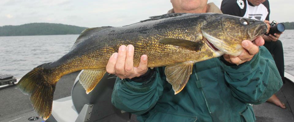 Ontario Walleye Fishing  Walleye Fly-In Fishing Outposts in Ontario