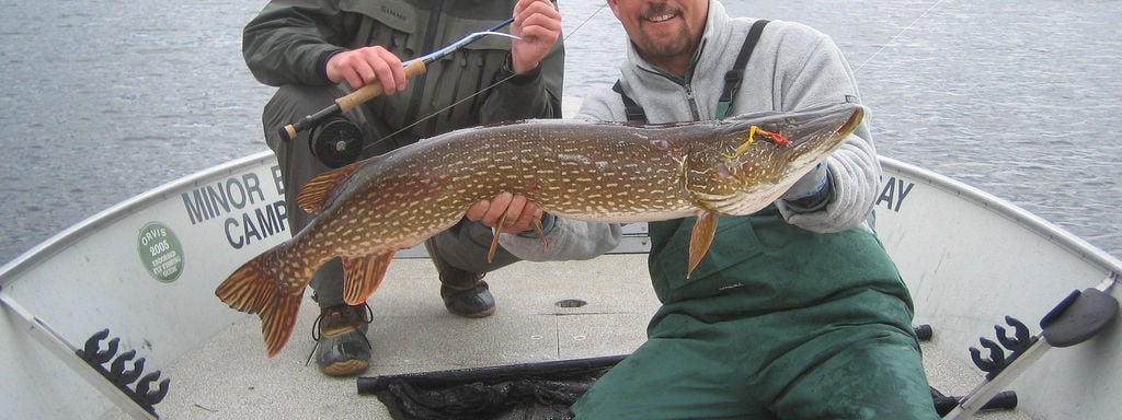 Minor Bay Lodge