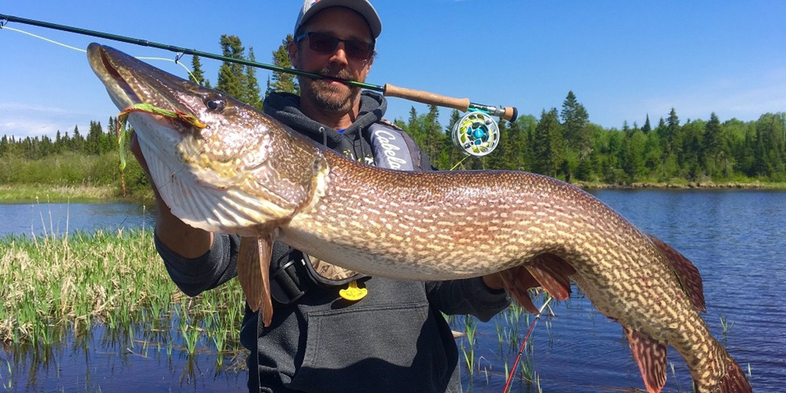 Brook Trout in Canada, species and fishing information