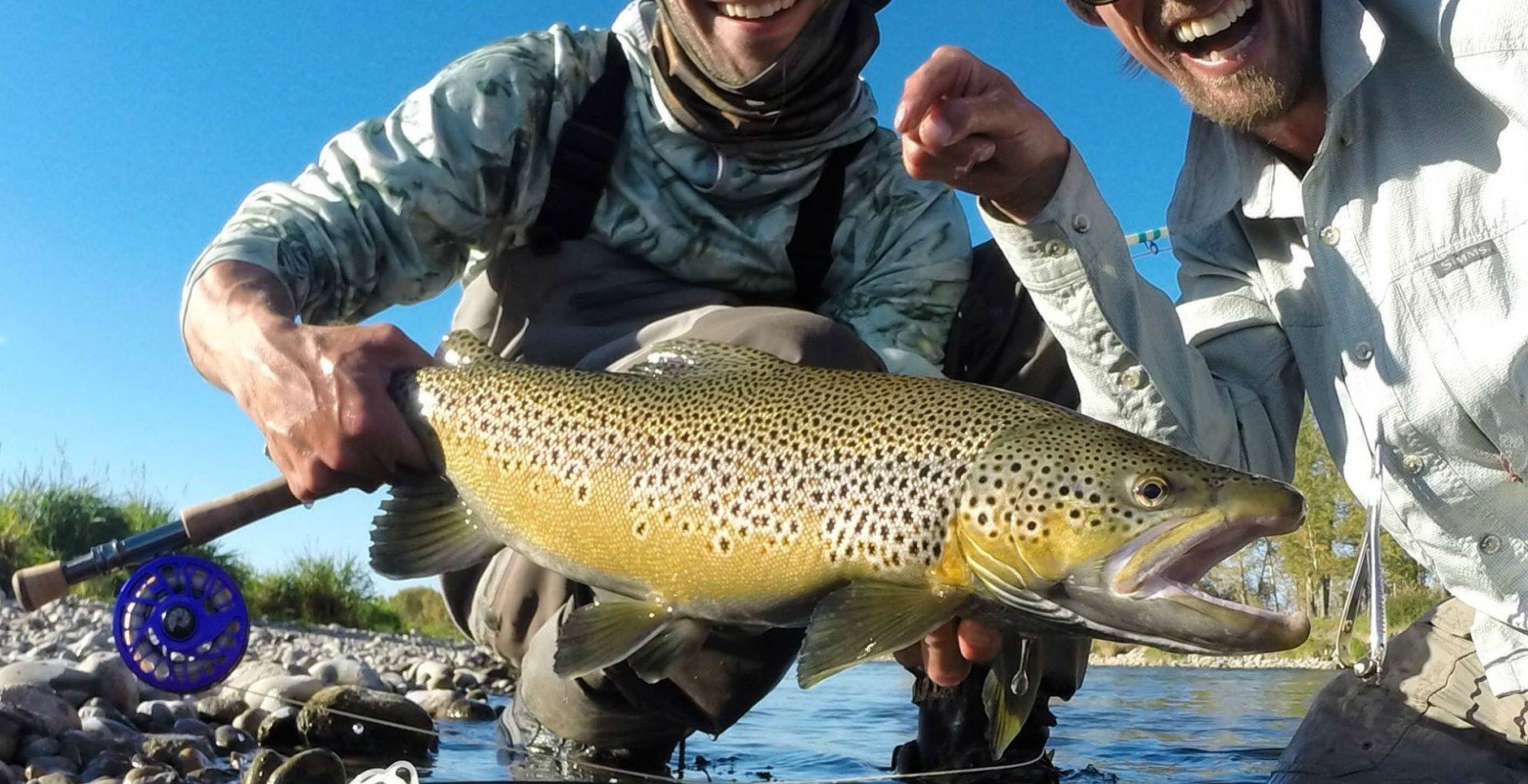 Fly Fishing for Brown Trout in Canada