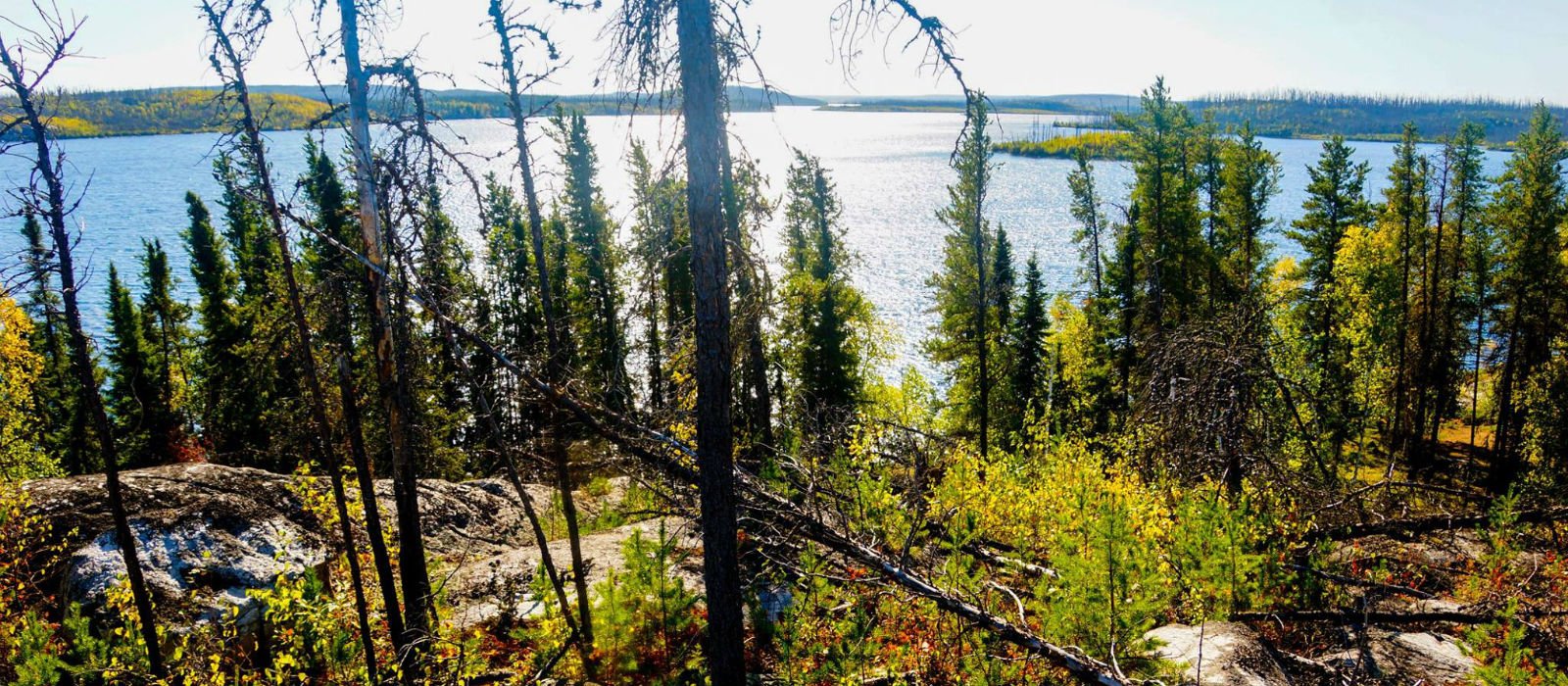 Thompson's Camps
