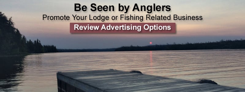 Advertise With Us