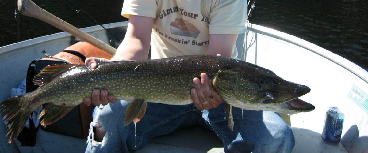 Fishing for Northern Pike in Canada - Our Favorite Lures