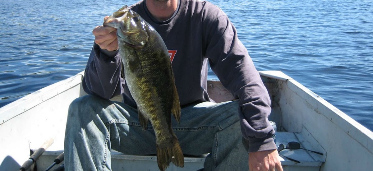 Smallmouth Bass